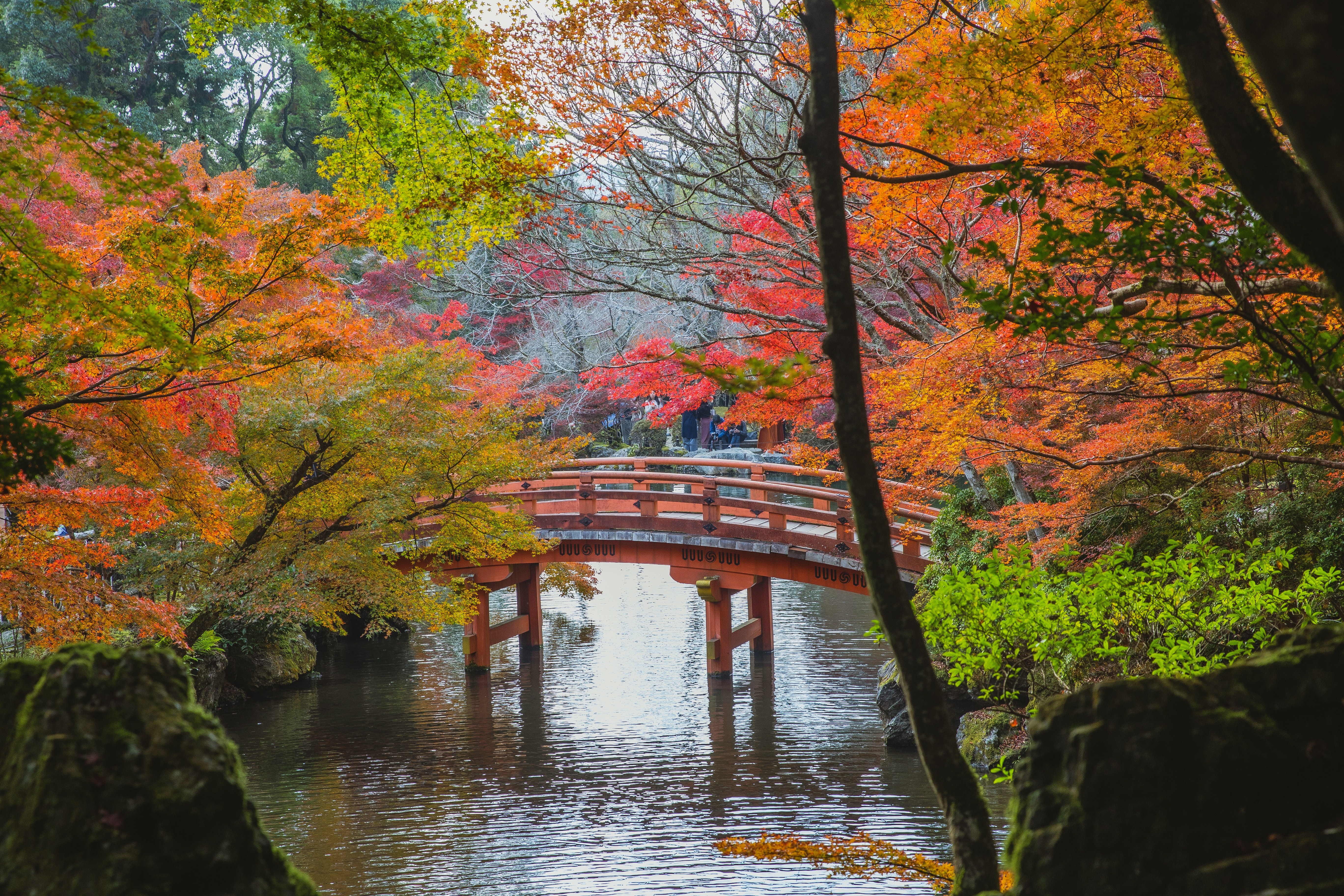 Pexels Ryutaro Tsukata 6249515